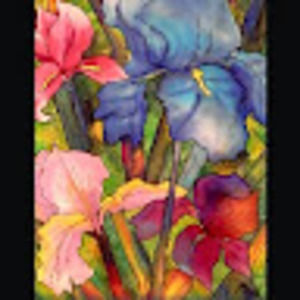 Meet your Posher, Sally